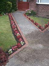 Path side decorative planting with Begonia