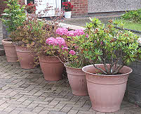 Clay coloured pots match brick work
