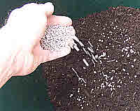 Sprinkle Potato Fertilzer & Mix into Compost