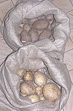 potato storage sacks