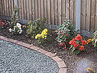 Specimen plant garden