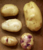 New Potatoes