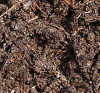 garden compost