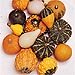 Suttons Ornamental Gourd Seeds